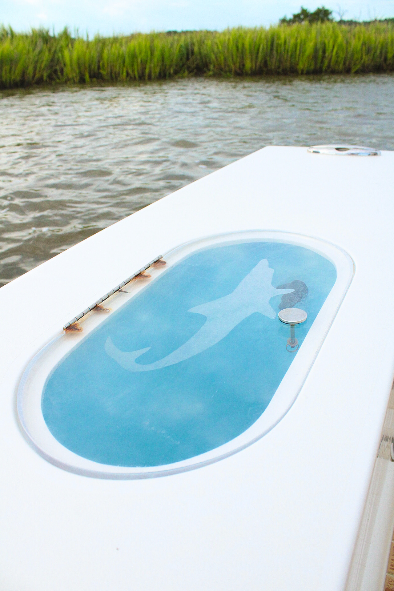 Mako shark emblem on the forward hatch of the boat